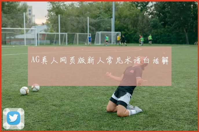 AG真人网页版新人常见术语白话解